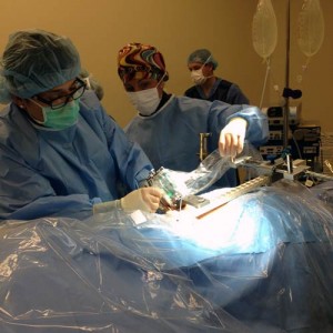 Robotically Assisted Endoscopic Spine Surgery